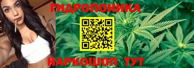 jwh Нальчик