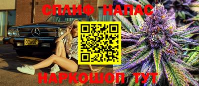 jwh Нальчик