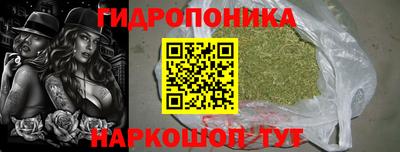jwh Нальчик